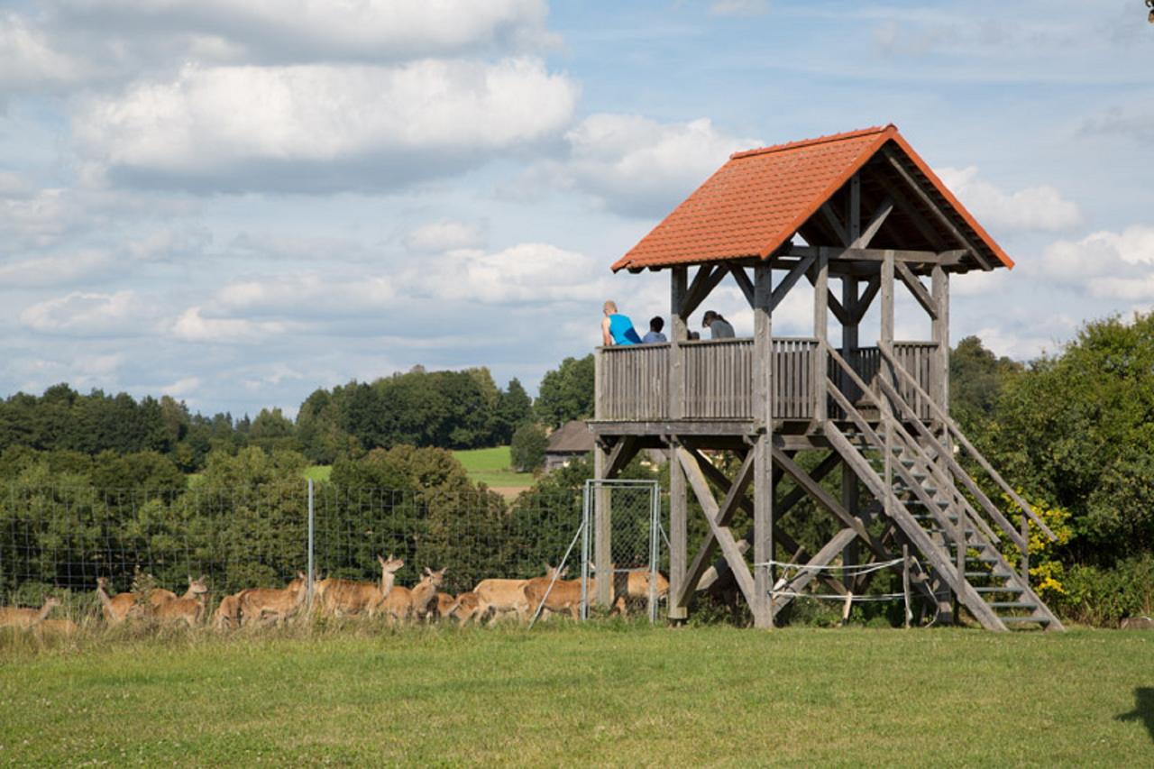 Theisseil Scheidlerhof 아파트 외부 사진
